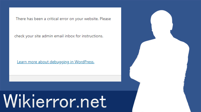 There has been a critical error on your website. Please check your site admin email inbox for instructions.